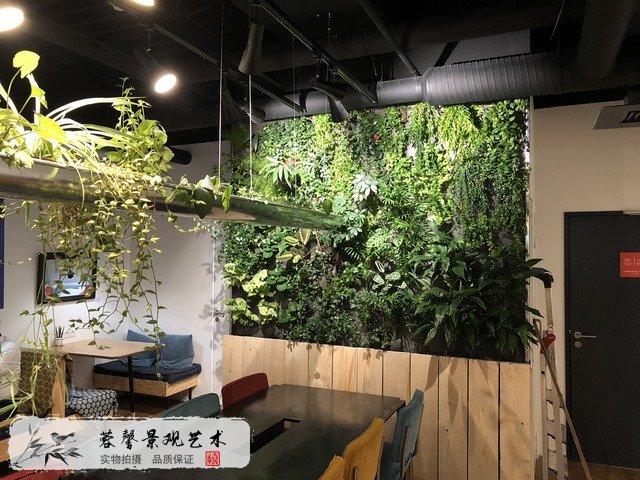 餐廳綠植墻