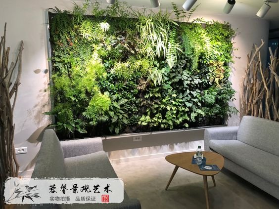 辦公室植物墻