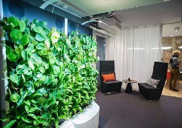 玄關(guān)植物墻