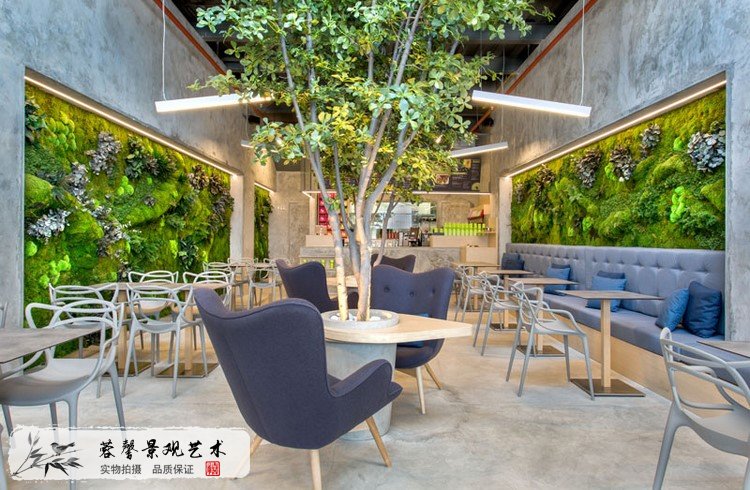 室內(nèi)植物墻植物