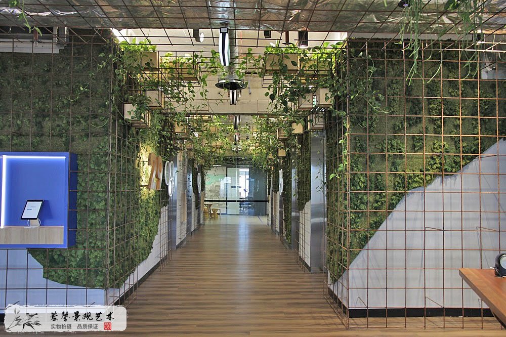 室內(nèi)植物墻植物