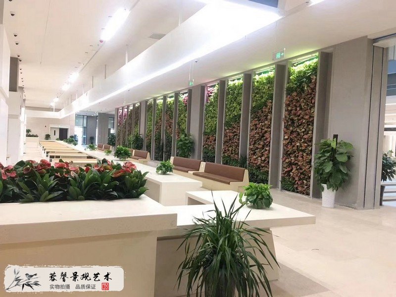 辦公室植物背景墻