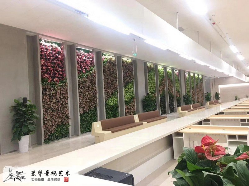 辦公室植物背景墻