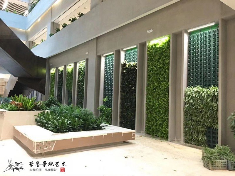 辦公室植物背景墻