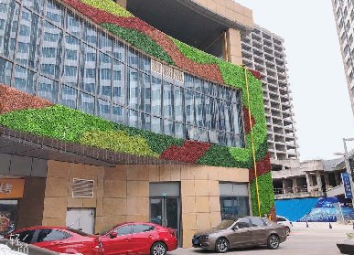 仿真植物墻打理