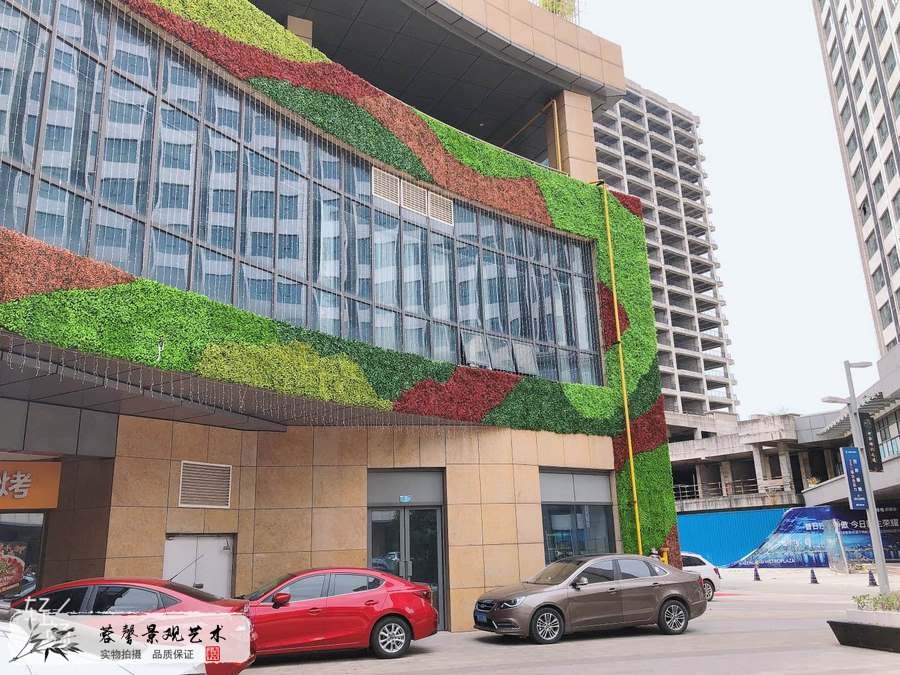 仿真植物墻打理