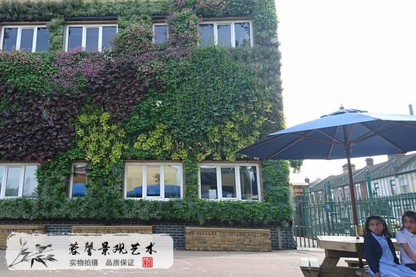 植物墻制作