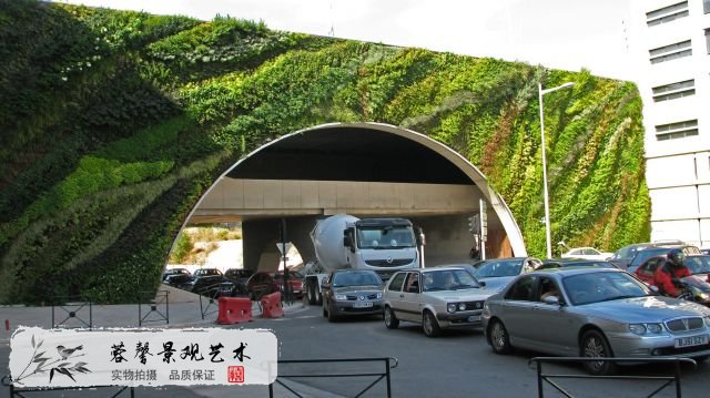 植物墻制作