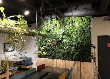 植物墻價(jià)格