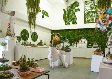 室內(nèi)植物墻