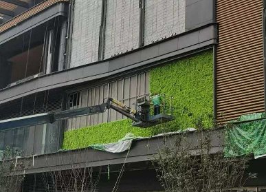 商業(yè)廣場植物墻