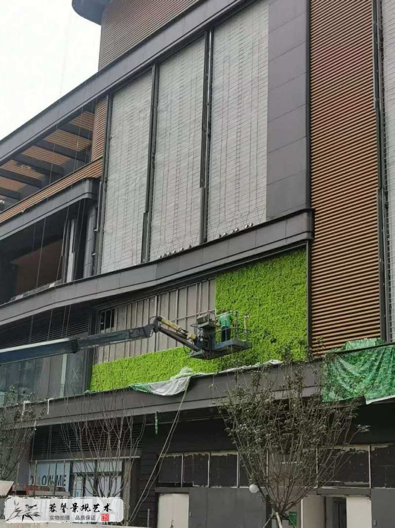 商業(yè)廣場(chǎng)植物墻