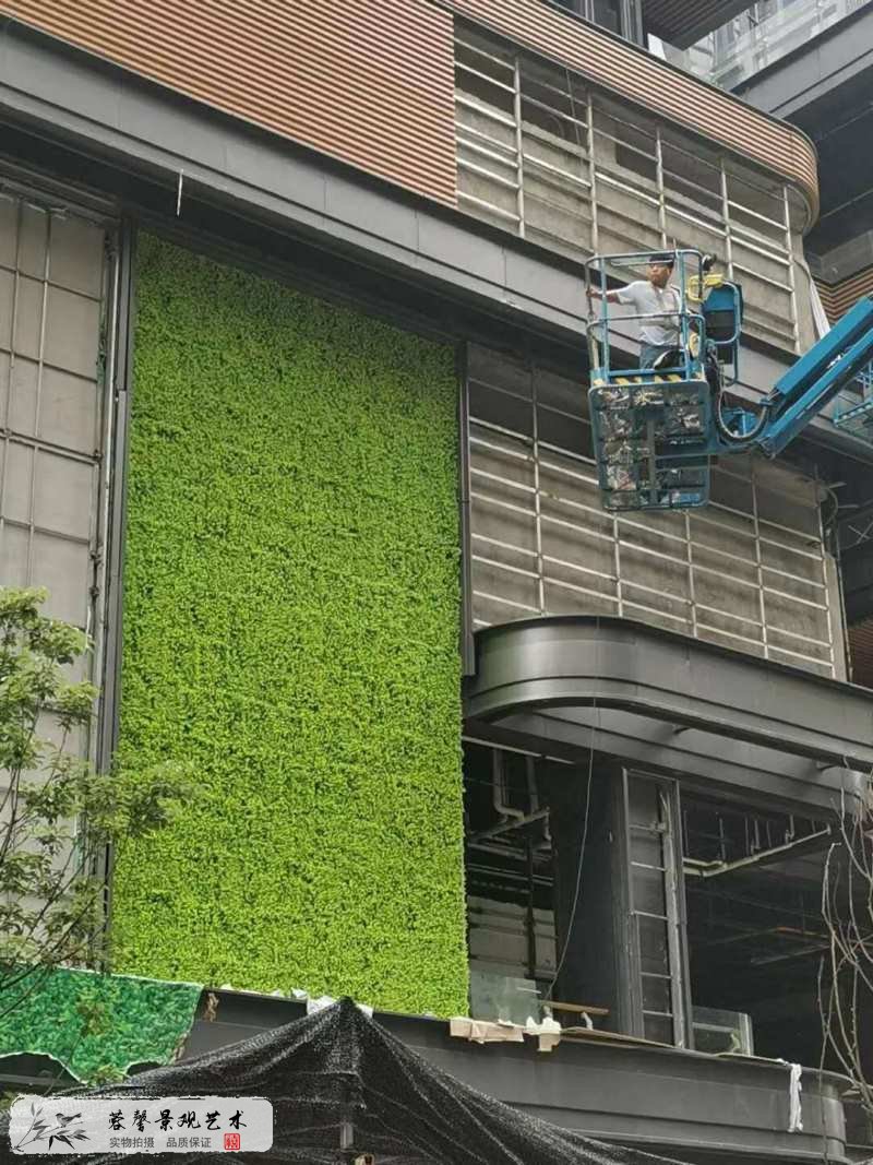 商業(yè)廣場(chǎng)植物墻