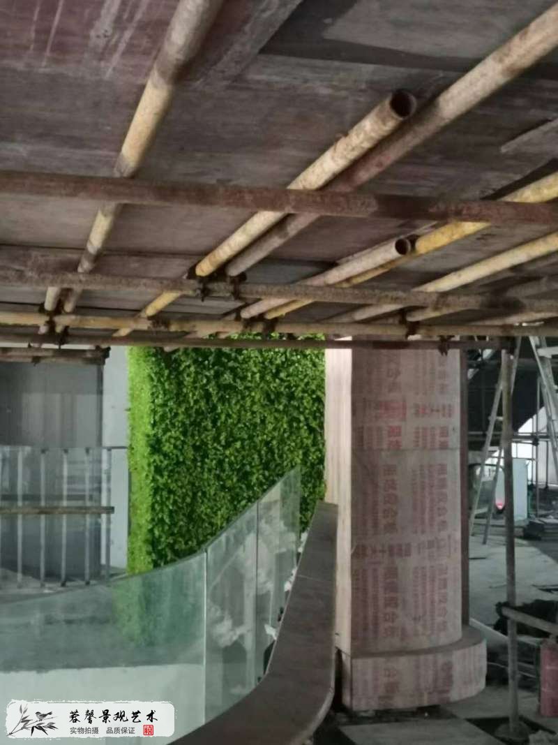 商業(yè)廣場(chǎng)植物墻