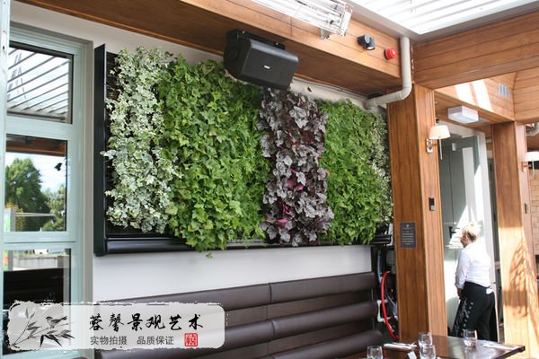 垂直綠化發(fā)展