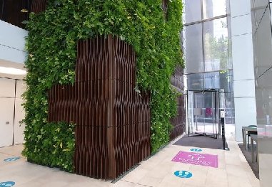 辦公室植物墻