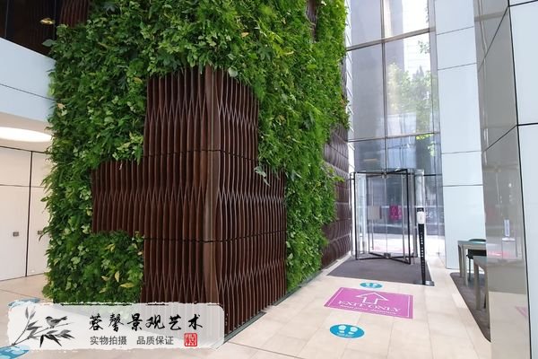 辦公室植物墻