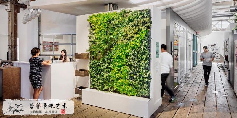 辦公室植物墻