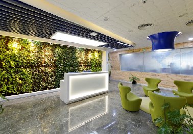 植物墻制作