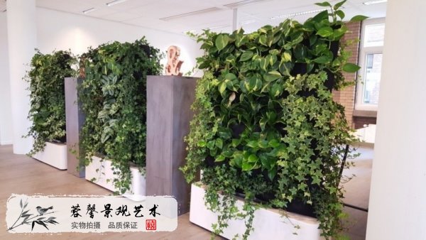 植物墻屏風(fēng)