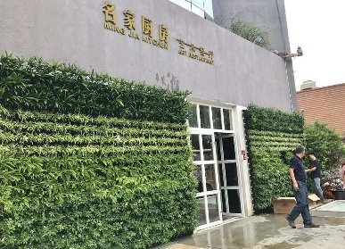 藝術(shù)餐廳植物墻