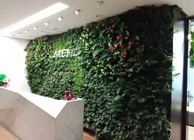 辦公室植物墻