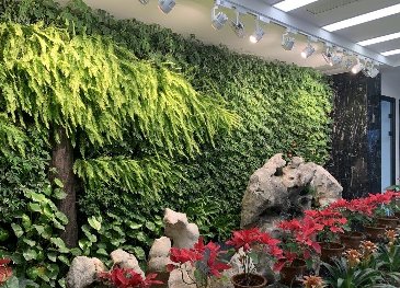 室內(nèi)植物墻