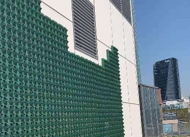 樓頂垂直綠化