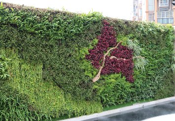 圍擋植物墻景觀