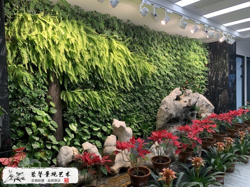 銀行辦公室形象植物墻