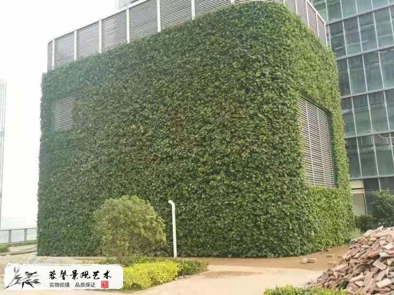 樓頂露臺(tái)墻體植物墻