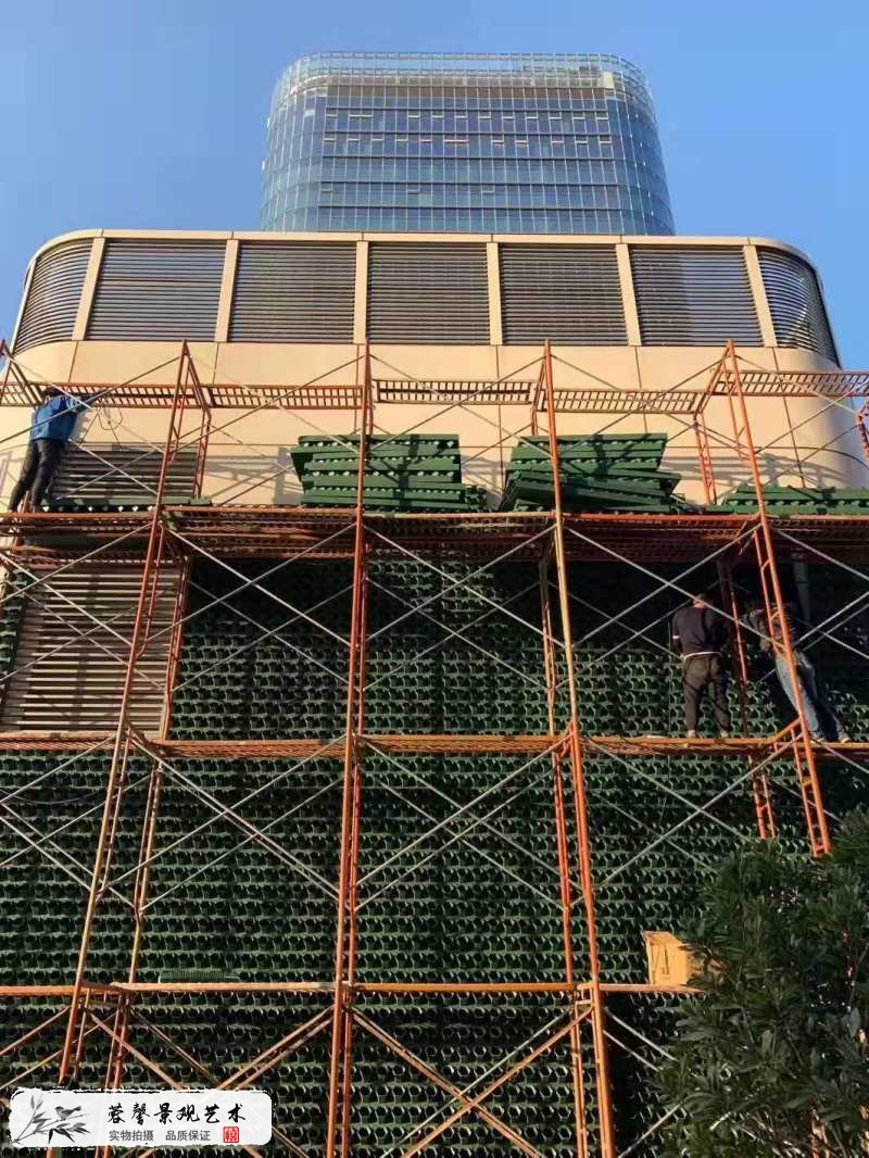 樓頂露臺(tái)墻體植物墻