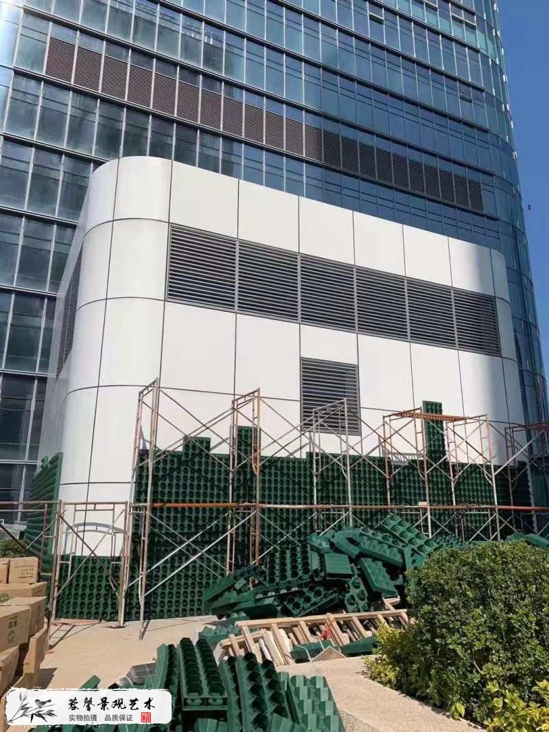 樓頂露臺(tái)墻體植物墻