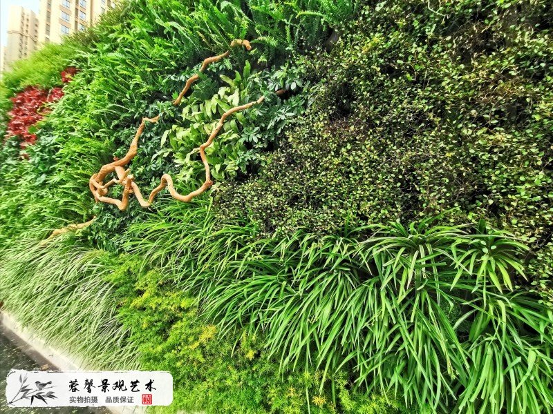 售樓部植物墻