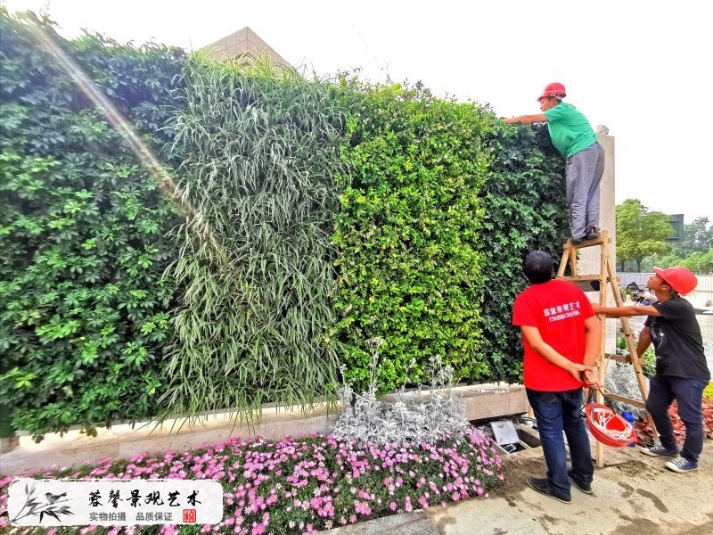 售樓部植物墻