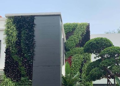 別墅植物墻