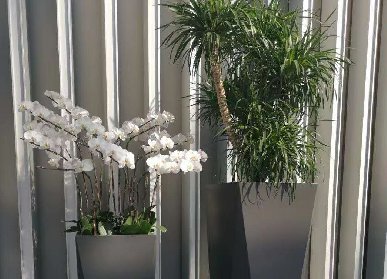 玻璃鋼花器
