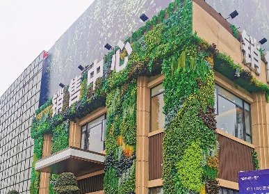 外墻仿真植物墻