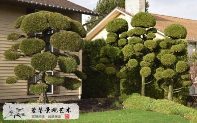 仿真綠雕