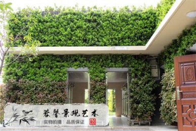 屋頂花園