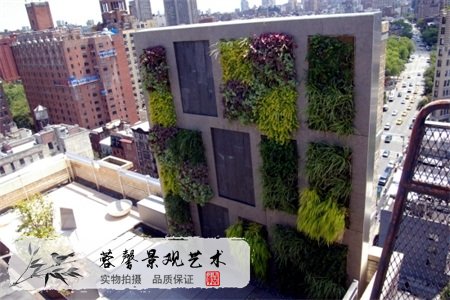 屋頂花園