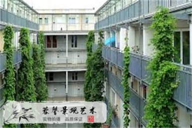 屋頂花園