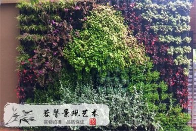 仿真植物墻