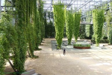 植物墻