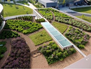屋頂花園