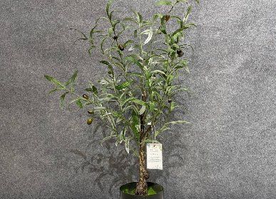 仿真橄欖樹(shù)