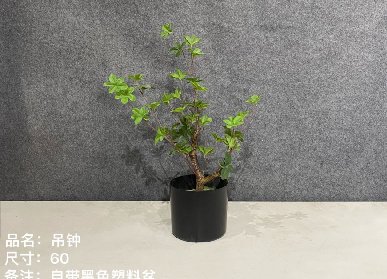 仿真吊鐘樹(shù)
