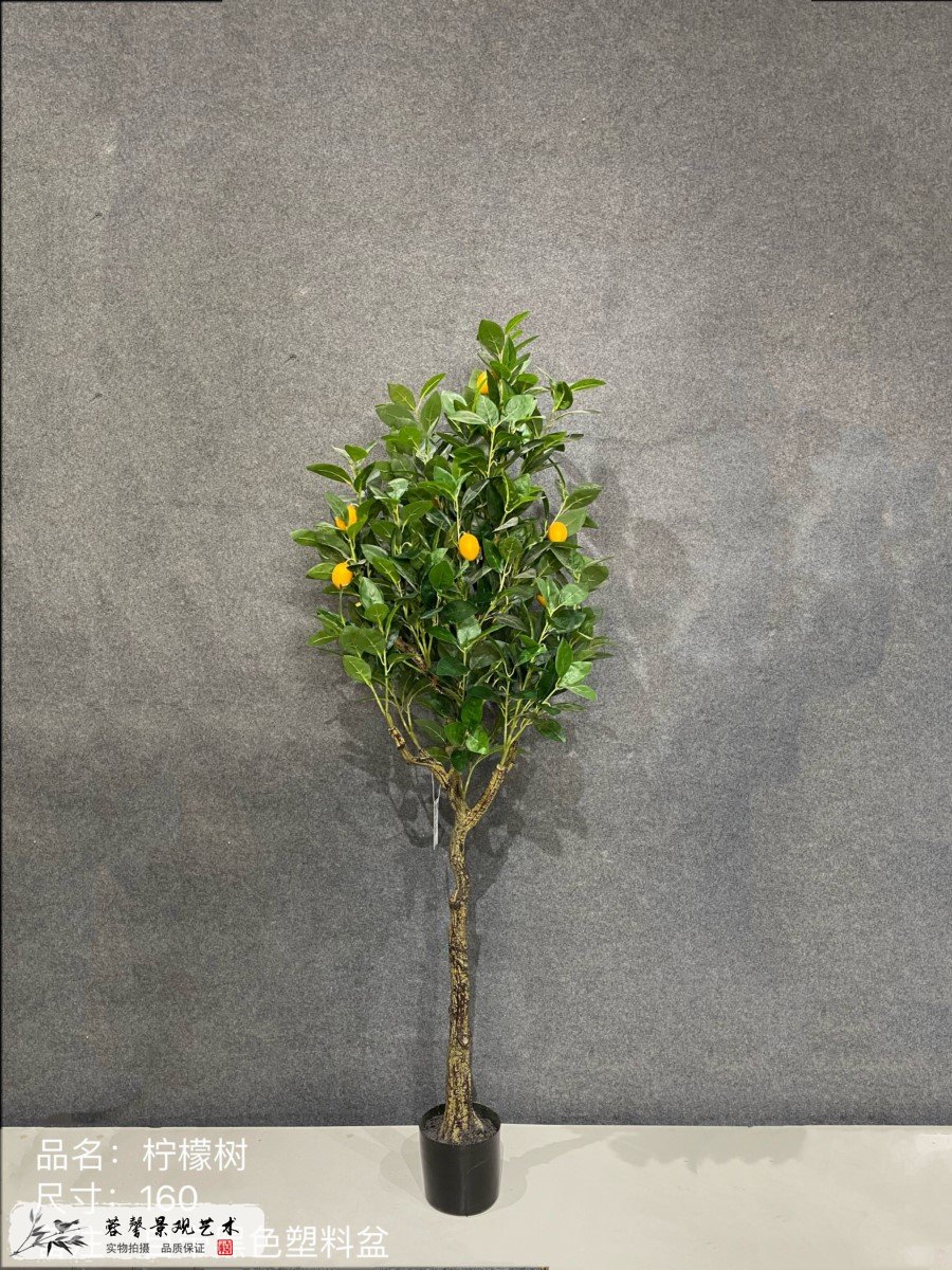 仿真檸檬樹(shù)