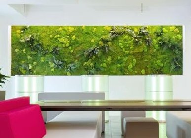 仿真植物墻效果